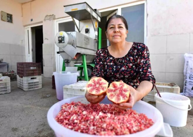 Mersin’de Üreticilere Nar Taneleme Makinesi Desteği